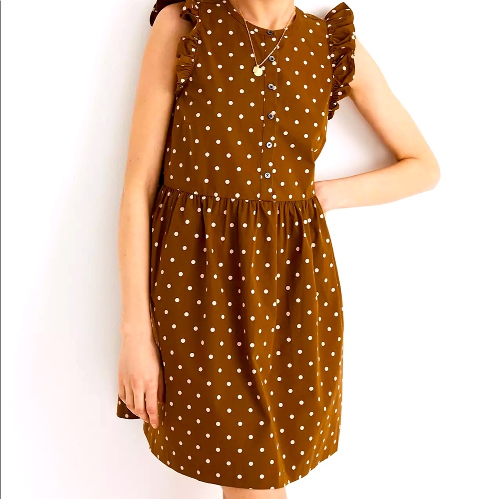 Madewell White polka dot - brown dress!